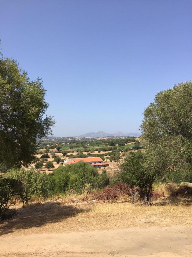Domo De Enas Bed & Breakfast Dış mekan fotoğraf