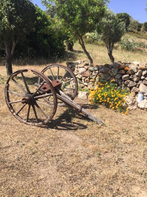 Domo De Enas Bed & Breakfast Dış mekan fotoğraf